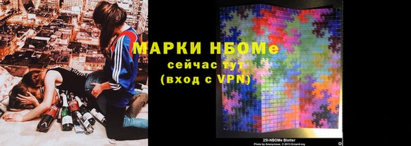 молекула духа Арсеньев
